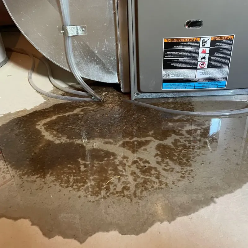 Pipe Burst and Leak Restoration in Hopkinsville, KY
