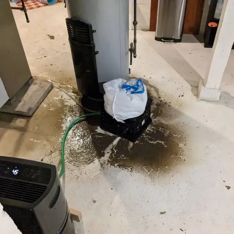 Sewage Backup Cleanup Service in Hopkinsville, KY
